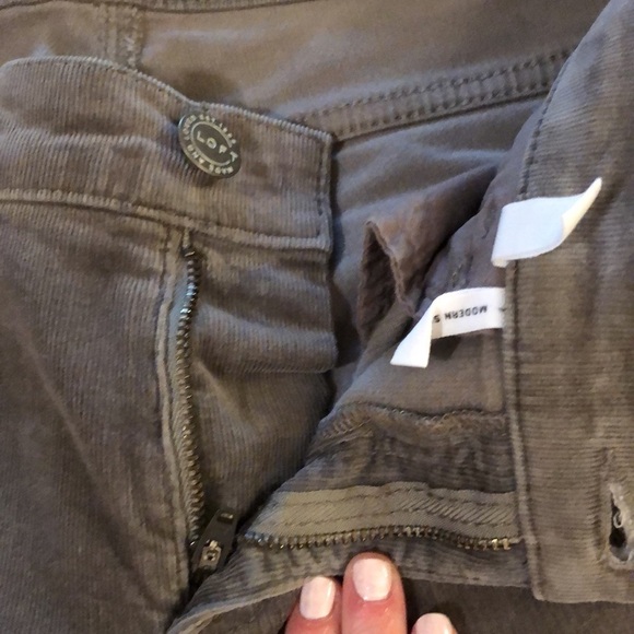 Loft Corduroy Pants - Picture 3 of 8